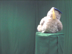 315 Degrees _ Picture 9 _ Light Brown Teddy Bear Wearing Blue Graduation Cap.png